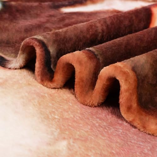 Bnuitland Brown Donut Blanket 300GSM Double-Sided Soft Flannel Throw Blanket