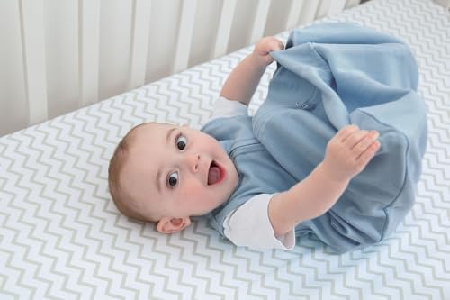 Elys Co Baby Wearable Blanket 2 Pack - Pink Blue