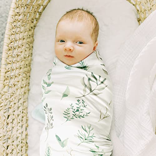 GRSSDER Super Soft Jersey Knit Baby Blanket